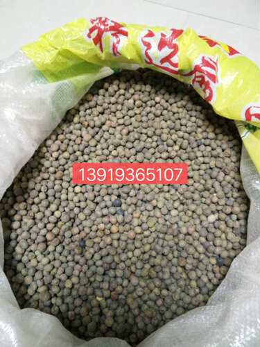 喂马豆种子  赛马补饲马豌豆   军马精料 24公斤每包