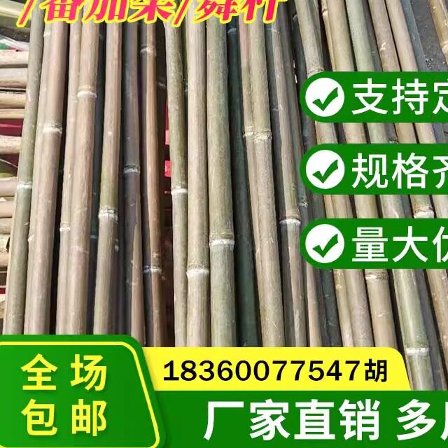 刀旗菜园搭架细毛跳舞包邮小竹子