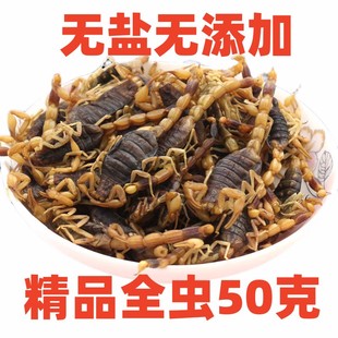 全蝎干中药材全虫50克包邮新货全蝎清水蝎子干货足干另售水蛭蜈蚣