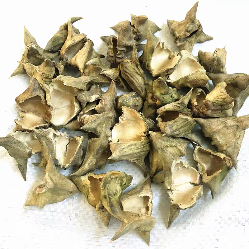蔡卷卷纯野生四角菱角壳采摘菱角壳干货菱角皮新鲜菱角米菱角壳