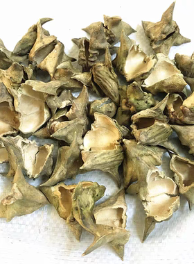 蔡卷卷纯四角菱角壳采摘菱角壳干货菱角皮新鲜菱角米菱角壳