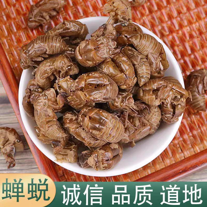 中药材无硫 蝉蜕 蝉衣 蝉壳知了皮蝉蜕粉 500克包邮新货原料