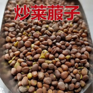 中药材炒莱菔子 炒白萝卜籽 莱菔子茶莱菔子粉另有生莱菔子500g克