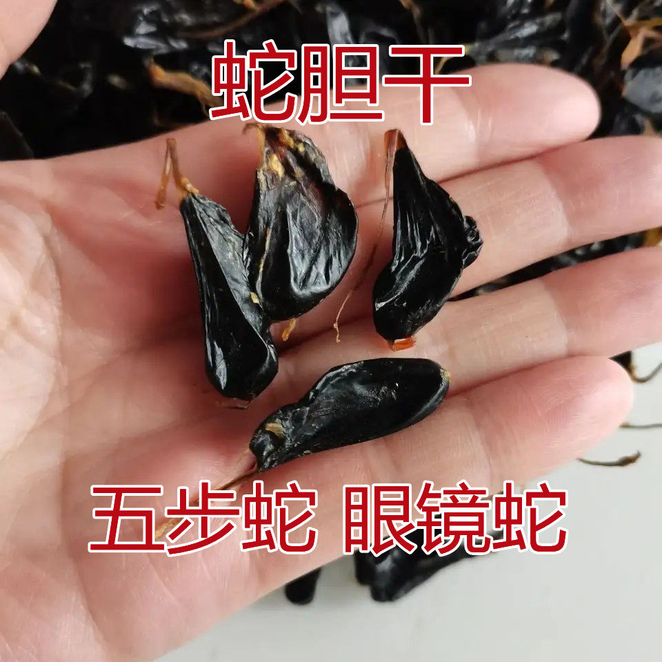 中药材蛇胆干正宗五步蛇胆武夷山眼镜蛇胆干10年蛇龄5粒包邮新货