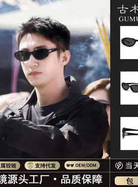 保罗雷朋官网2025高版本黄景瑜同款墨镜GM太阳镜Blac墨镜小红书猫