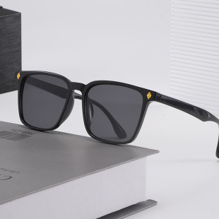 保罗雷朋官网2025新款 女士太阳镜防紫外线度假拍照墨镜大框显 时尚