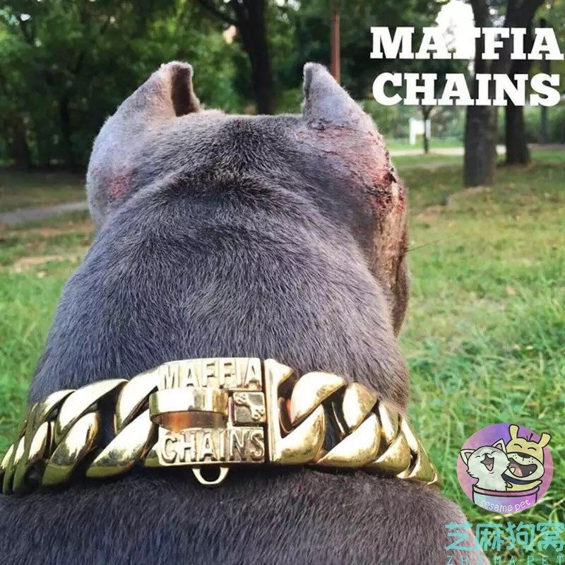 铜纪元不锈钢狗狗链子狗项圈电镀金链子犬恶霸犬法斗牛犬杜宾犬