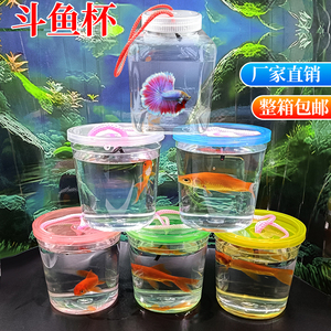 斗鱼杯手提迷你透明塑料观赏鱼瓶缸带盖绳子龟缸水母杯整箱包邮7