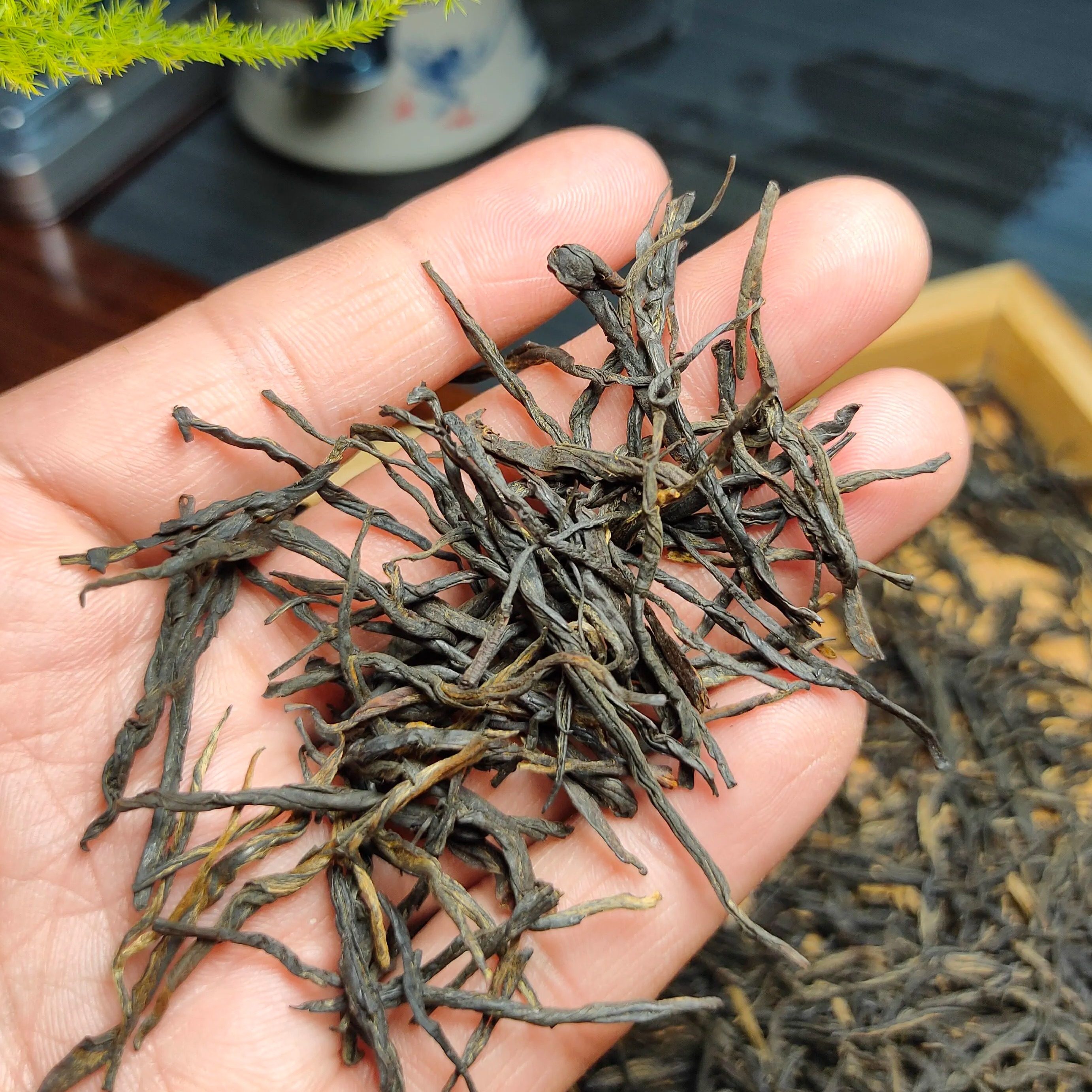 云南滇红古树红茶,云南红茶滇红_大山谷图库