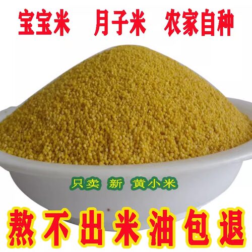 山西农家小米月子米新黄小米熬粥
