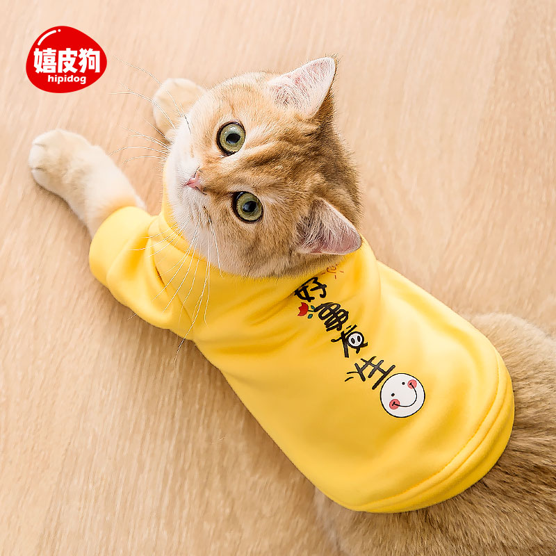 小猫咪衣服秋冬装英短布偶公猫