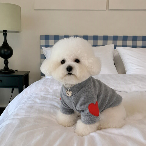 可爱小狗狗衣服泰迪比熊雪纳瑞猫咪小型幼犬秋冬季薄款宠物打底衫