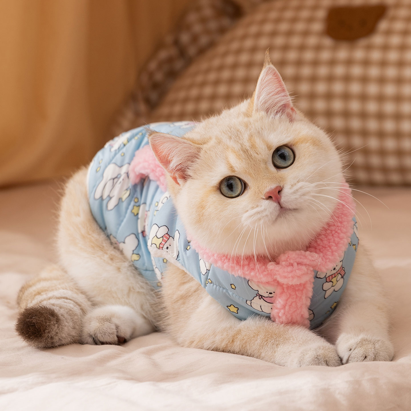 小猫衣服冬季德文无毛猫暹罗猫宠物幼猫阿比西尼亚猫冬天马甲冬装