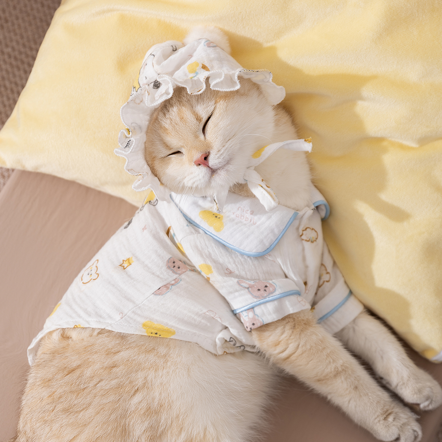 猫咪衣服防掉毛薄款无毛阿比西尼亚小猫幼猫猫宠物睡衣德文猫衣服