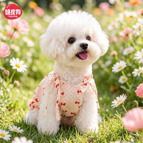 春夏狗狗衣服碎花系带吊带