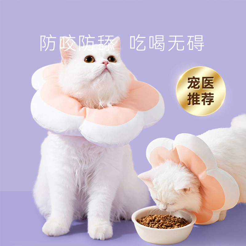 防水花朵款伊丽莎白项圈