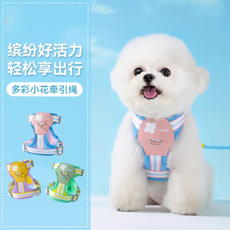 狗狗牵引绳胸背带背心式溜遛狗绳比熊泰迪狗小型犬狗绳子外出专用