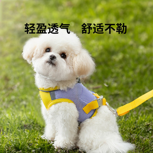 狗狗牵引绳背心式小型犬幼犬