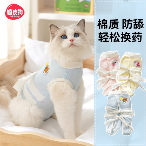 绑带可调节#防舔母猫绝育手术服