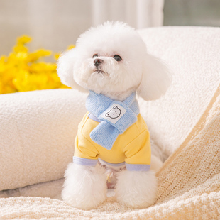 送围巾小狗狗泰迪衣服秋款 比熊法斗宠物小猫咪小型幼犬秋冬天薄款