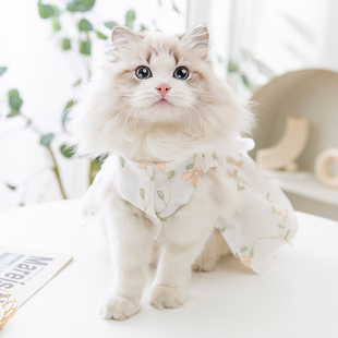 薄款 花朵连衣裙子小猫咪衣服防掉毛宠物猫猫布偶英短蓝猫幼猫夏季