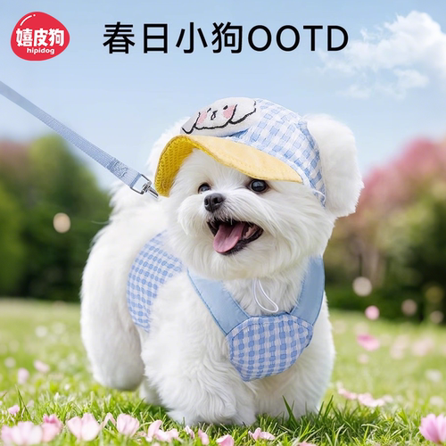 宠物带帽子胸背自带牵引套装挣脱小型犬泰迪比熊博美遛狗狗牵引绳