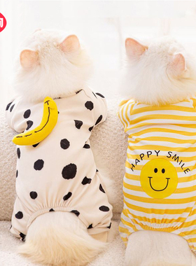 可爱小猫咪衣服防掉毛薄款秋季布偶幼猫蓝猫猫德文宠物小狗狗冬天