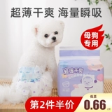 Ультра -тонкие собачьи физиологические штаны Тедди маленькие собачьи подгузники Менструальная тетя штаны Pet Boy Dog Специальная санитария