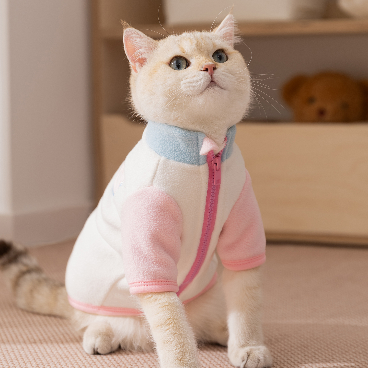 可爱小猫咪专用衣服秋冬季布偶蓝猫防掉毛猫猫幼猫保暖宠物秋冬装