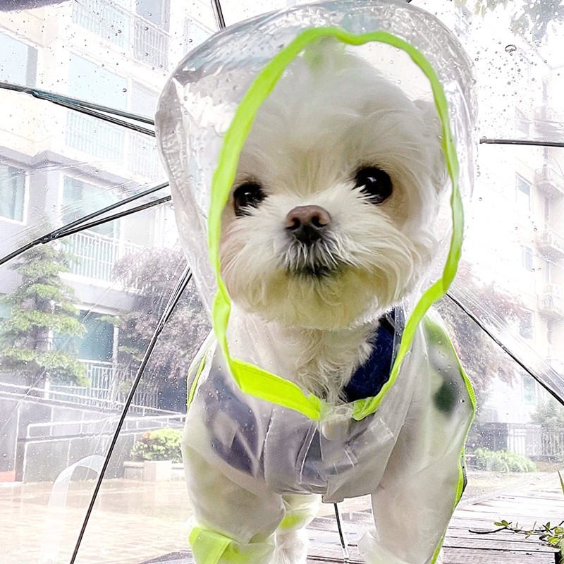 小狗狗雨衣四脚防水全包泰迪比熊