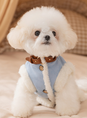 宠物小狗狗衣服麂皮绒马甲冬装保暖比熊泰迪雪纳瑞猫咪小型犬冬天