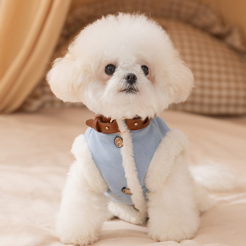 宠物小狗狗衣服麂皮绒马甲冬装保暖比熊泰迪雪纳瑞猫咪小型犬冬天