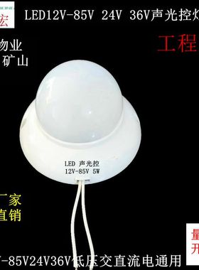 健宏DC12Vled智能声光控楼道过走梯廊延时24V36V感应吸顶节能灯