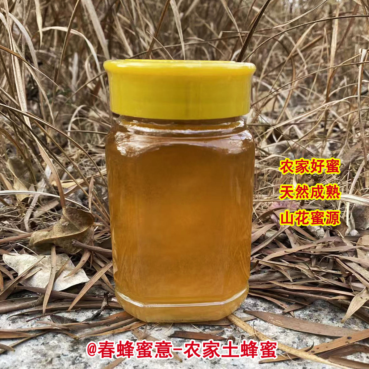 土蜂蜜农家自产自销纯正天然无添加