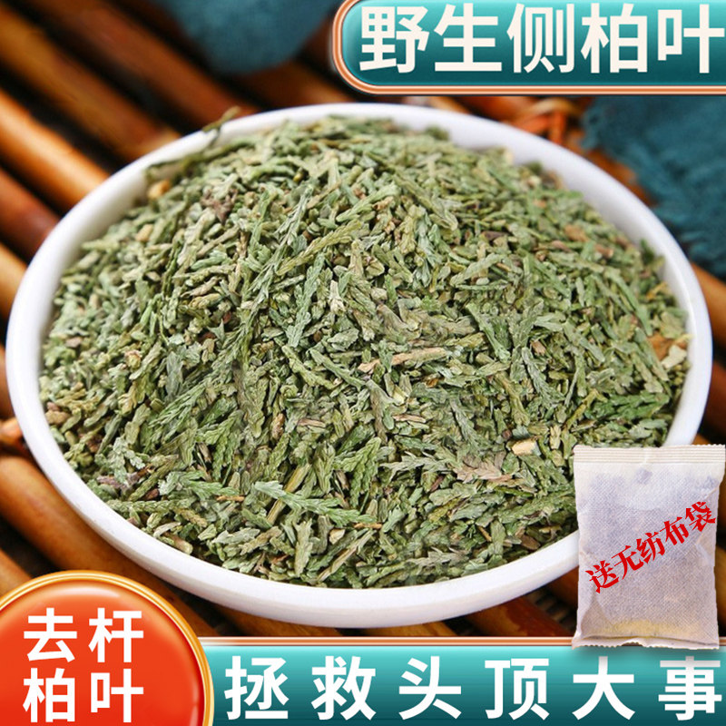 侧柏叶颗粒洗发水洗头包泡头何首乌干侧柏叶正品新鲜扁柏叶