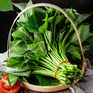 新鲜红薯叶嫩叶番薯叶火锅菜农家自种蔬菜现摘现发产地新鲜现摘