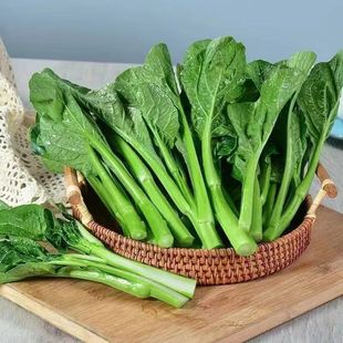 广东菜心新鲜菜心仔小菜正宗菜心杆菜苔小青菜生吃蔬菜菜心苗