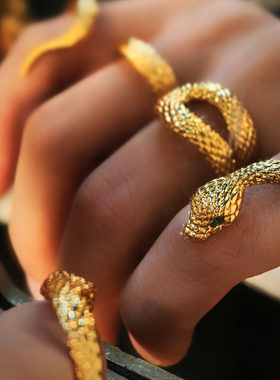 法式轻奢精致蛇年本命年蛇形戒指女时尚金蛇绕指 个性指虎