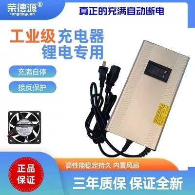 智能单串3.2V3.65V磷酸铁锂电池充电器单体电芯3.65V5A6A8A10A