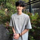 美式荆棘刺绣短袖T恤男夏季灰色拼接设计感重磅正肩上衣T802P28，男装T恤，星座1013-2