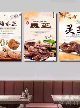 中医药材装饰画灵芝养生馆背景墙面中医馆海报挂图中药店药房挂画