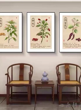 中医馆药材挂画中草药装饰画药店药铺药房麦冬白芍背景墙壁画