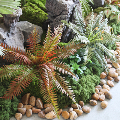 高仿真，高级感，蕨类植物造景