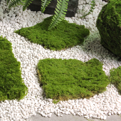 仿真苔藓草皮室内外绿植造景搭配