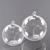 Прозрачная стеклянная бутылка микроамбэпля является гидропонным растением