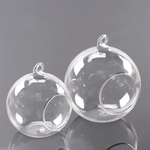 Прозрачная стеклянная бутылка микроамбэпля является гидропонным растением