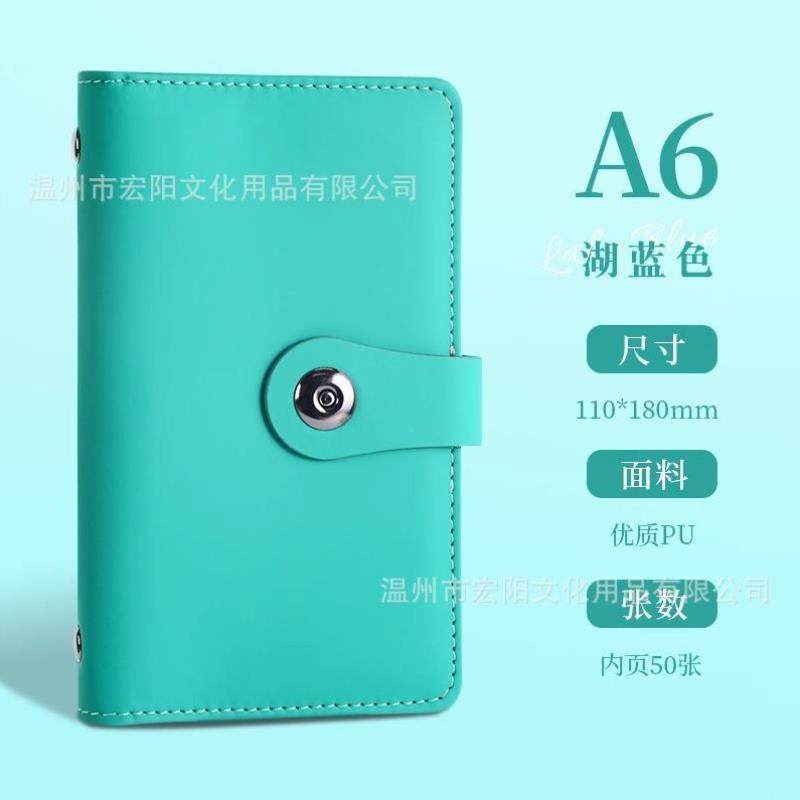 存钱本内页大容量收纳册纪念钞收藏册子纸币钱币收集理财袋票夹20