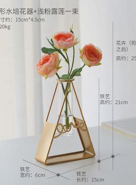 壁挂花器ins风墙面创意背景装饰品挂件遮盖墙上挂饰绿植铁艺插花