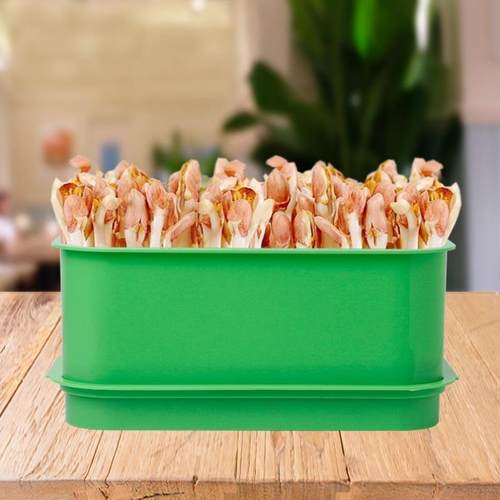 罐育苗发芽盆豆芽机家用大容量发豆芽专用盆神器黄绿豆芽罐种植