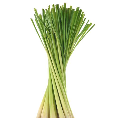 柠檬香茅纯露高浓度饱和不提精油保湿补水控油防蚊 diy资本家